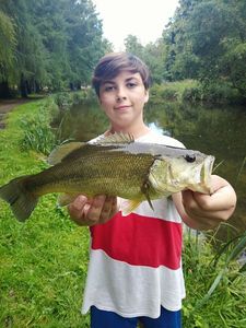 Largemouth Bass