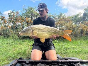 Common Carp