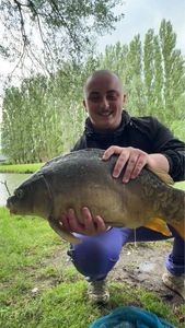 Mirror Carp