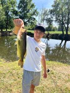 Largemouth Bass