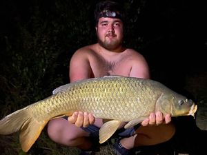 Common Carp