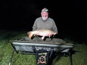 Common Carp
