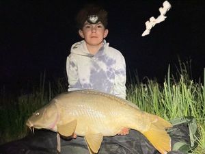 Mirror Carp