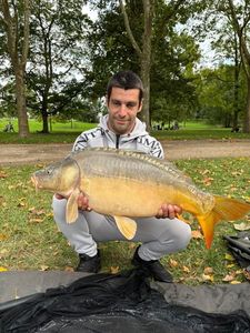 Mirror Carp