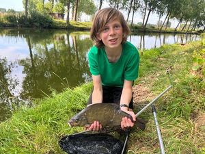 Common Bream