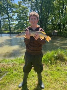 Northern Pike