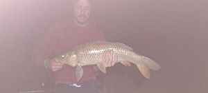 Common Carp