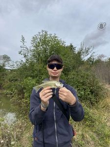 Largemouth Bass