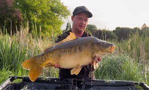 Mirror Carp
