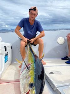 Yellowfin Tuna