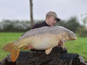 Mirror Carp