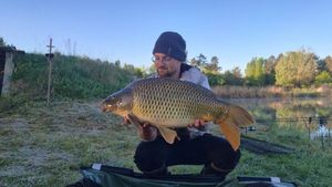 Common Carp