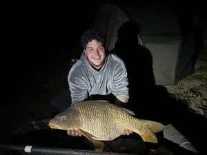 Common Carp