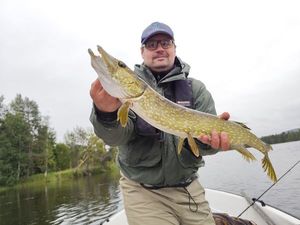Northern Pike