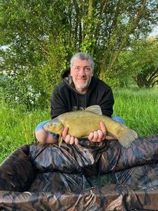 Tench