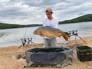 Leather Carp