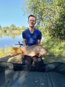 Mirror Carp