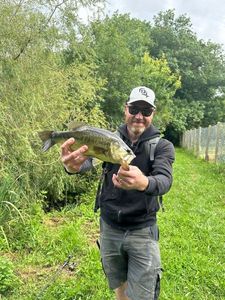 Largemouth Bass