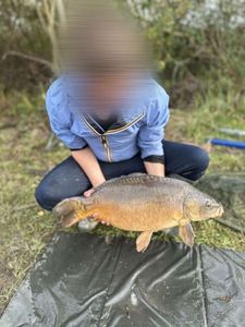 Leather Carp