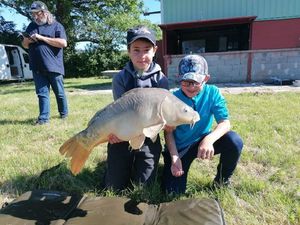 Mirror Carp