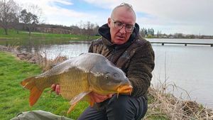 Common Carp