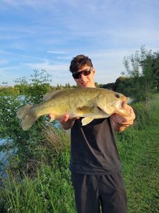 Largemouth Bass