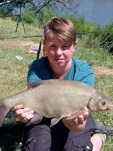 Common Bream