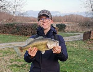 Largemouth Bass