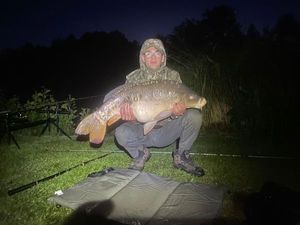 Mirror Carp