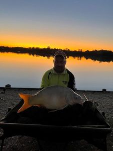 Mirror Carp