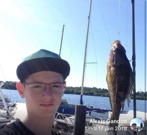 Green Sunfish