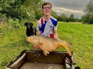 Mirror Carp