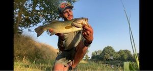 Smallmouth Bass