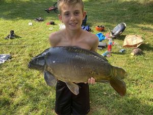 Common Carp