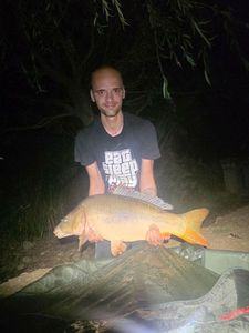 Mirror Carp