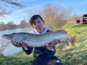 Northern Pike