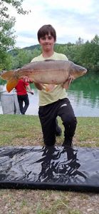 Mirror Carp