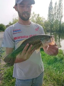 Smallmouth Bass