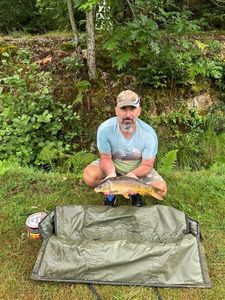 Mirror Carp