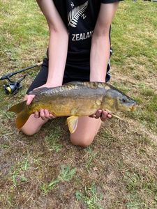 Mirror Carp