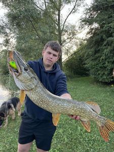 Northern Pike