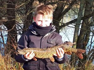 Northern Pike