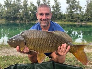Common Carp