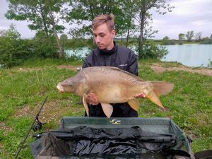 Mirror Carp