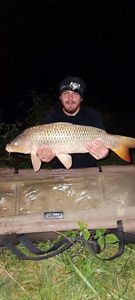 Common Carp