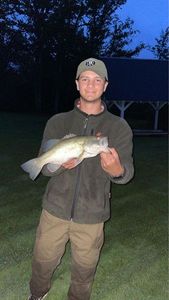 Largemouth Bass