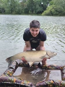 Grass Carp