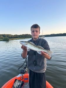 Zander