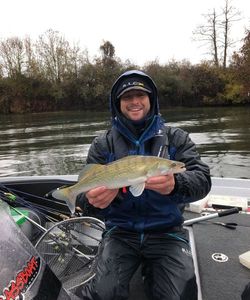 Zander