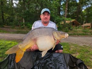 Mirror Carp